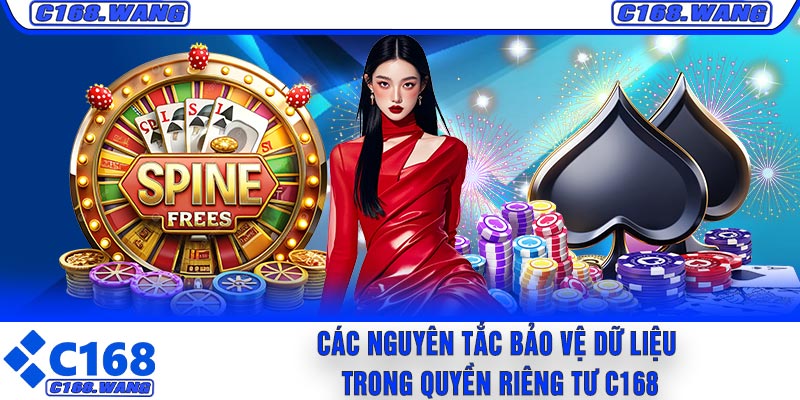 Các Nguyên Tắc Bảo Vệ Dữ Liệu Trong Quyền Riêng Tư C168