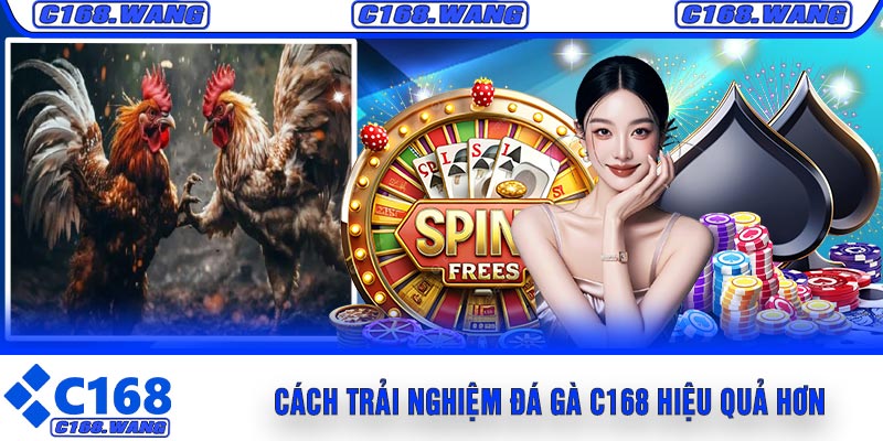 Cách Trải Nghiệm Đá Gà C168 Hiệu Quả Hơn