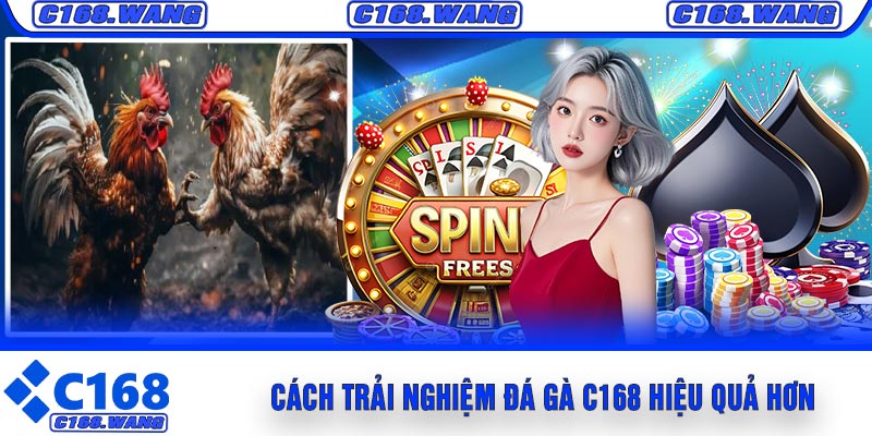 Đá Gà C168 – Khám Phá Sức Hút Của Hình Thức Giải Trí Trực Tuyến HOT 2026