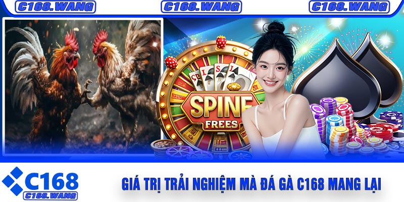Giá Trị Trải Nghiệm Mà Đá Gà C168 Mang Lại