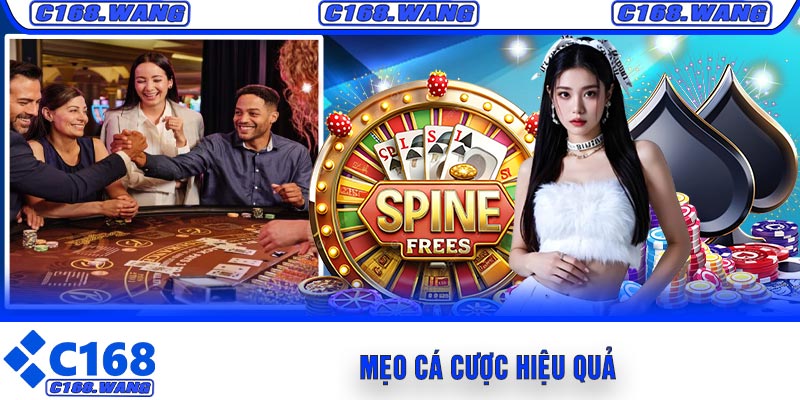 Mẹo Cá Cược Hiệu Quả