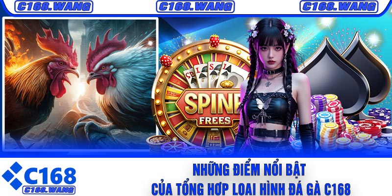 Những Điểm Nổi Bật Của Tổng Hợp Loại Hình Đá Gà C168