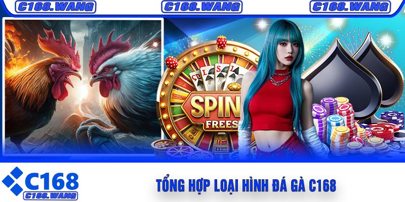 Tổng Hợp Loại Hình Đá Gà C168