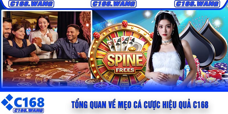 Tổng Quan Về Mẹo Cá Cược Hiệu Quả C168