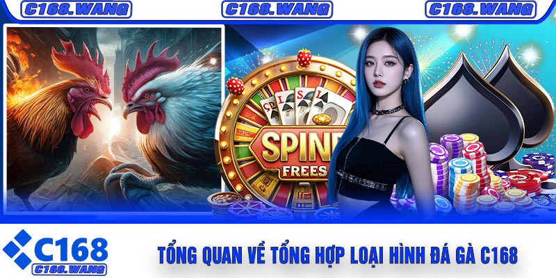 Tổng Quan Về Tổng Hợp Loại Hình Đá Gà C168